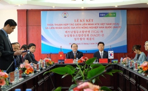 VCA ký kết hợp tác với Liên đoàn quốc gia HTX NN Hàn Quốc